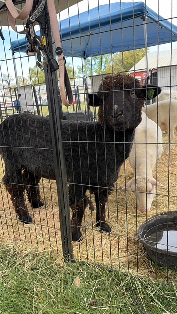 Central Washington State Fair - 2026 photo 2