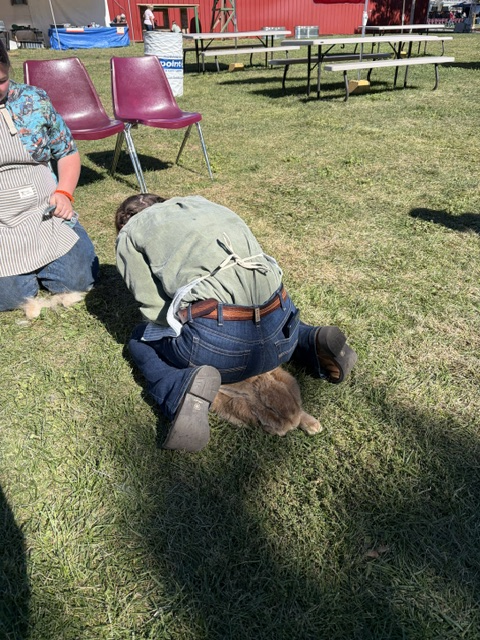 Central Washington State Fair - 2026 photo 10