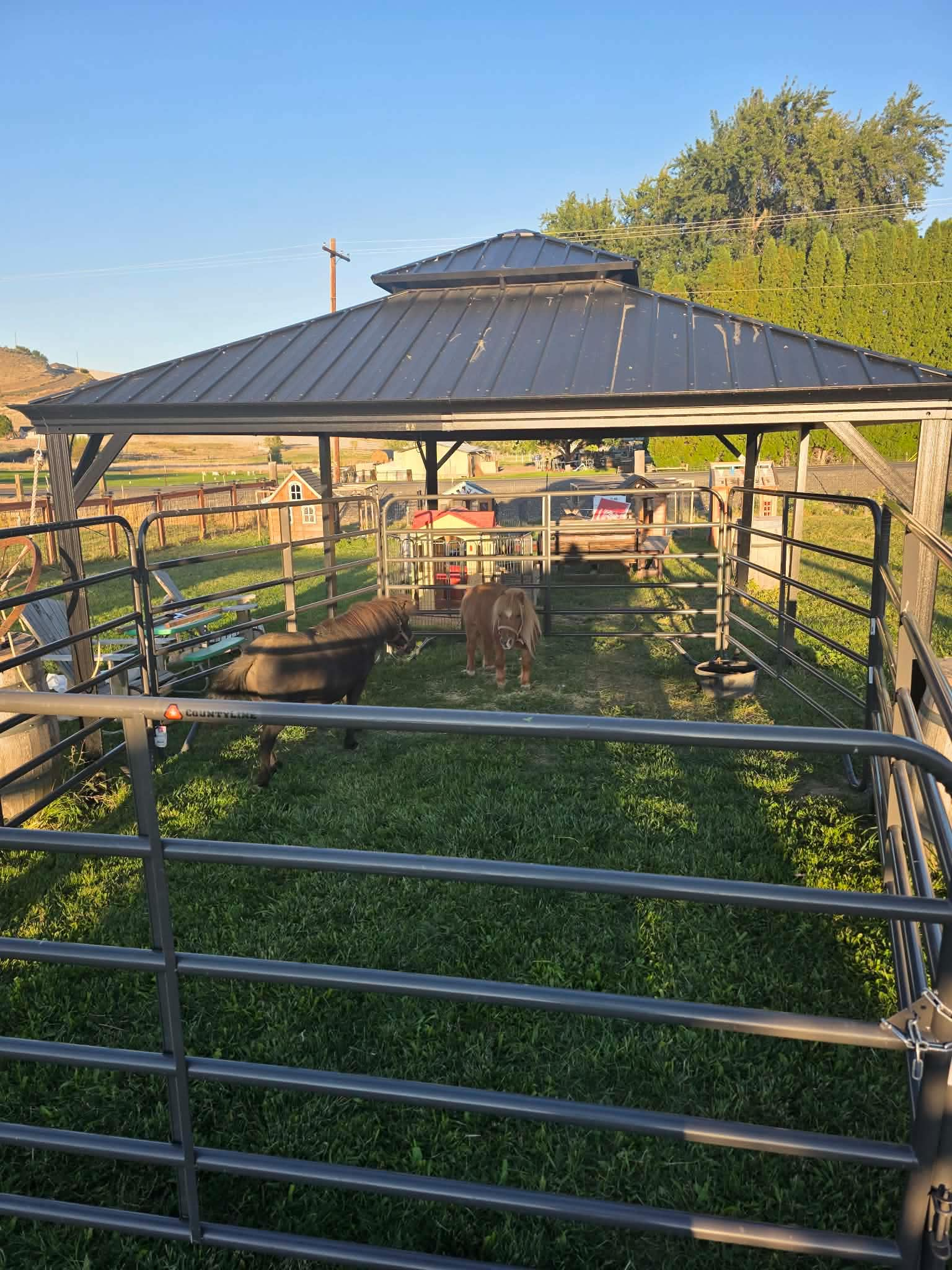 Fall on the Farm - 2026 photo 1